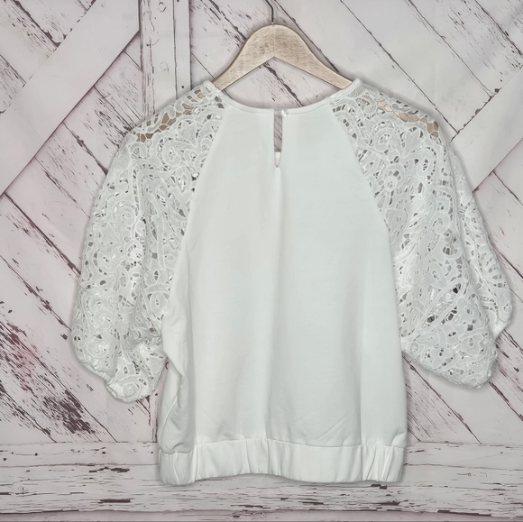 Dolan Fiona Lace Sleeve Top - Picture 2 of 4